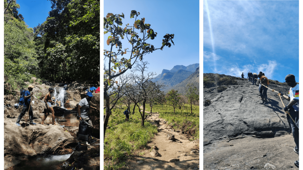 Agasthyarkoodam: Planning the Trek That Walks You Inward Agasthyarkoodam: Planning the Trek That Walks You Inward