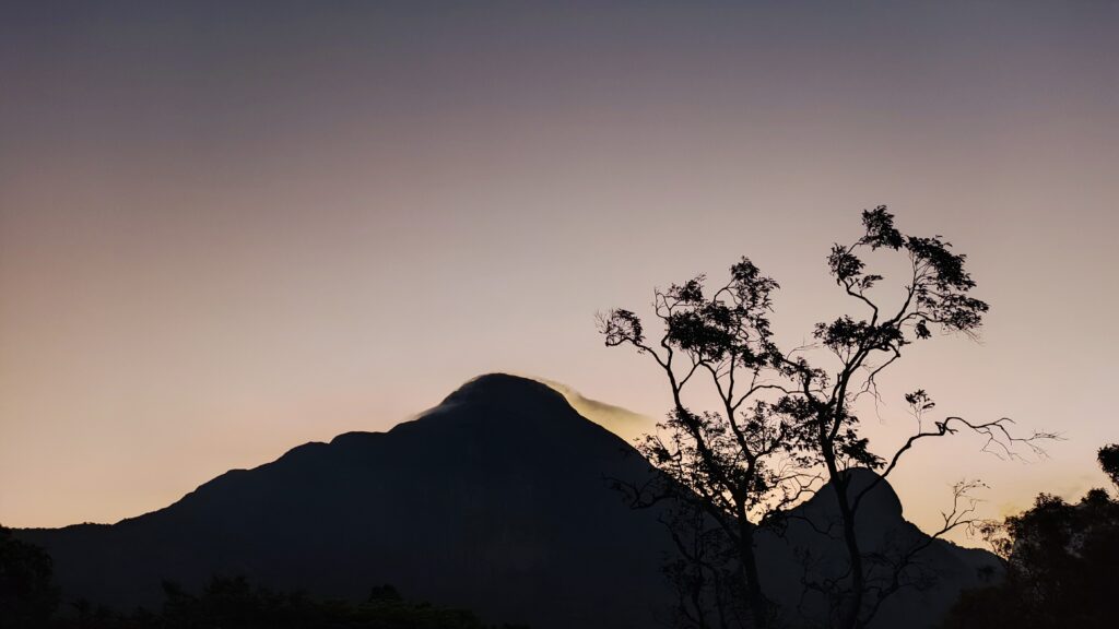 Agasthyarkoodam: Planning the Trek That Walks You Inward Agasthyarkoodam: Planning the Trek That Walks You Inward